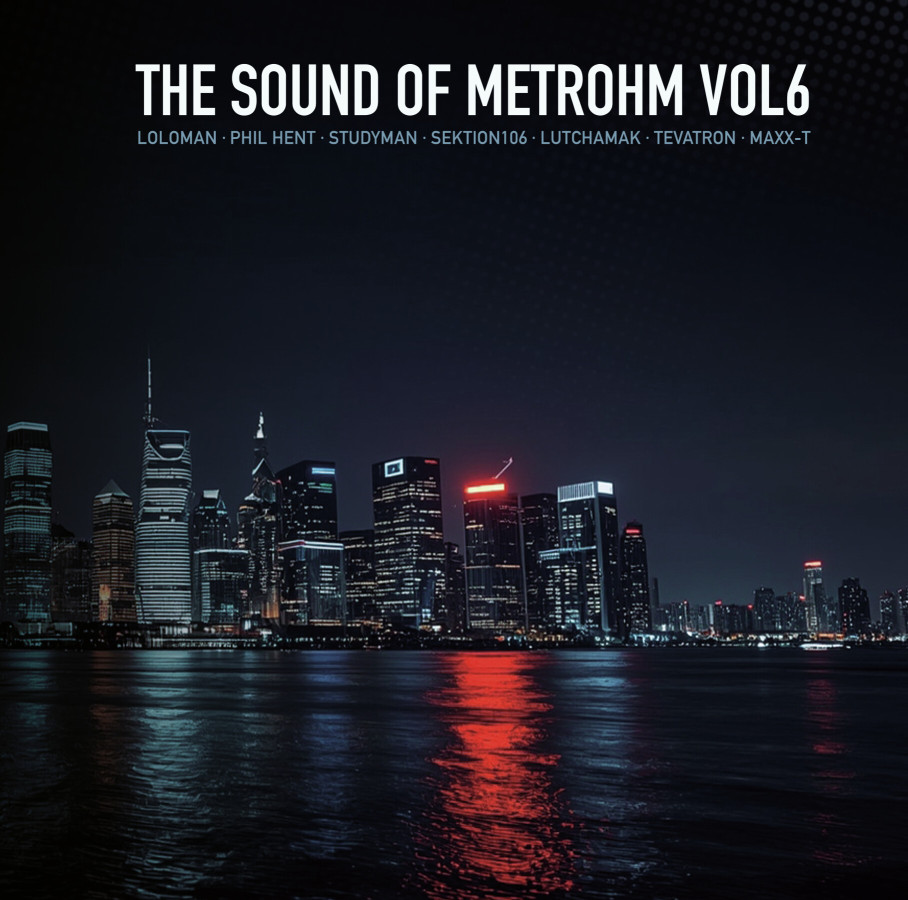 The Sound Of Metrohm Vol. 6 · Pt. 1 en 12 pouces