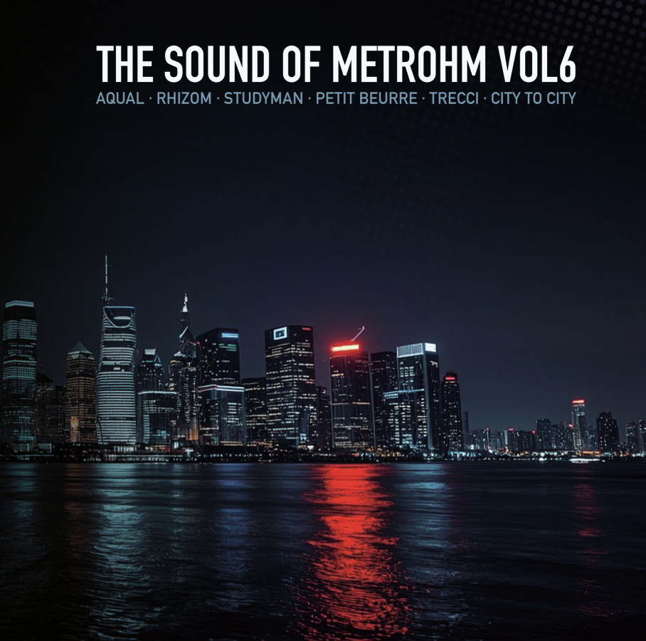 The Sound Of Metrohm Vol. 6 · Pt. 2 en 12 pouces